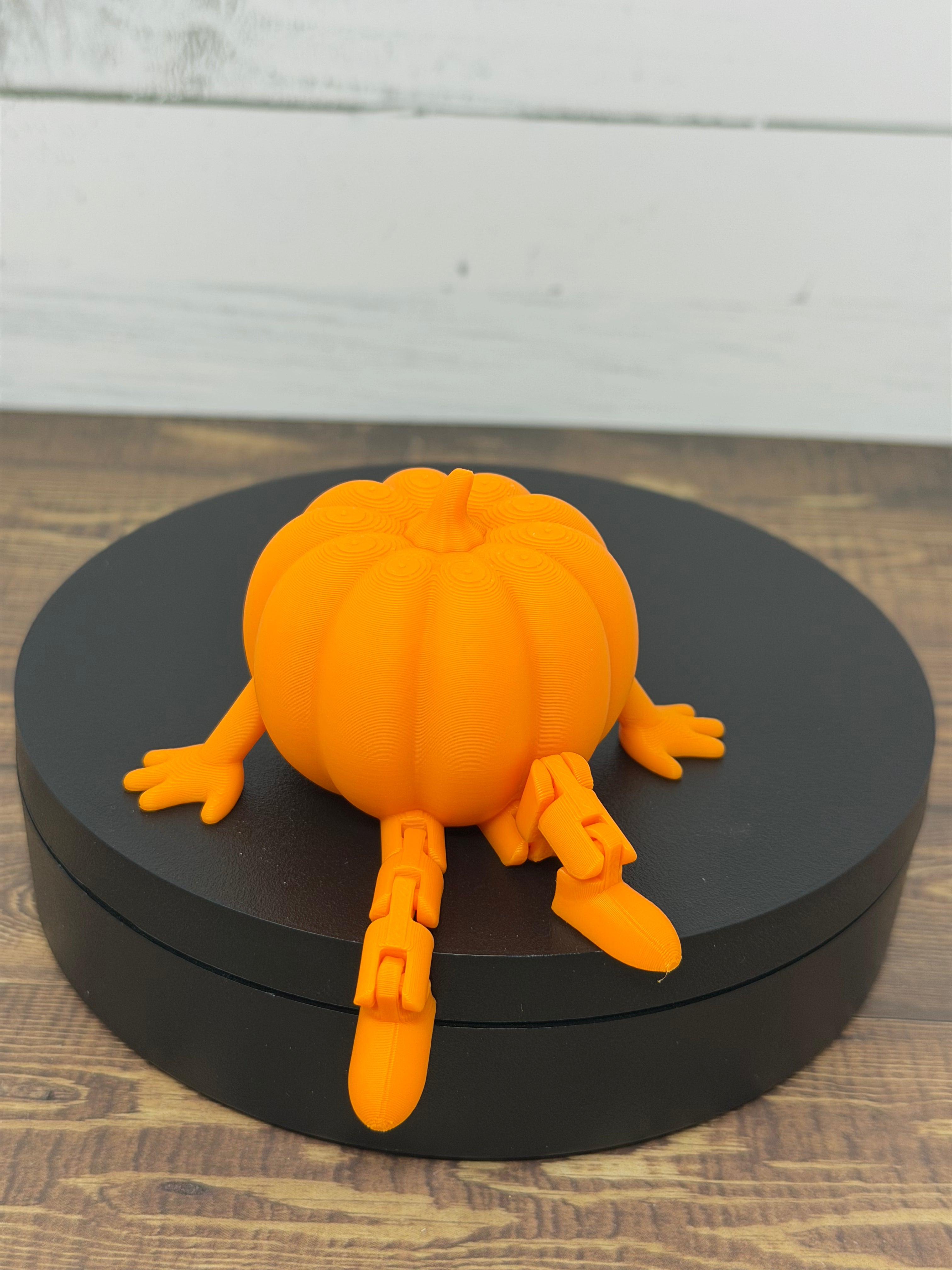 Sitting Pumpkin Decoration