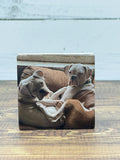 Custom Square Ceramic Magnet